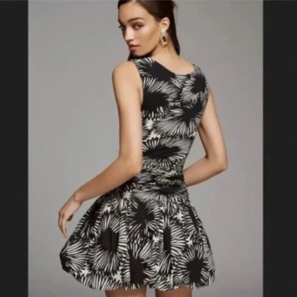 Anthropologie Drop-Waist Bubble Hem Dress Sz S - Picture 2 of 13